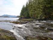 Tongrass National Forest