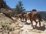 Grand Canyon National Park