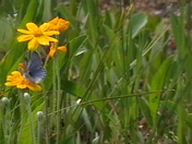 Grand Teton National Park