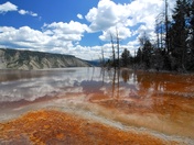 Yellowstone National Park