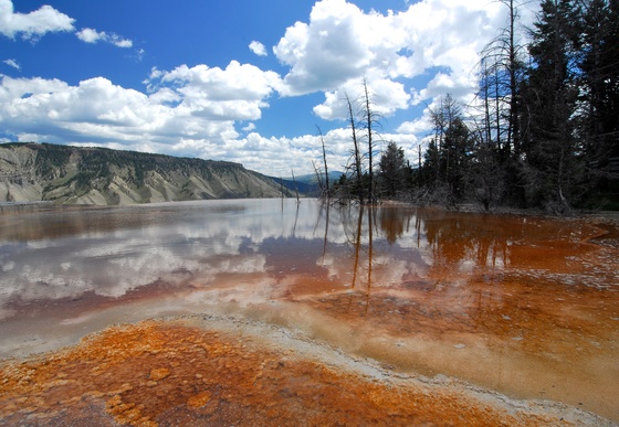 Yellowstone National Park