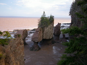 Flowerpots at The Rocks Provincial Park NB.JPG