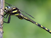 May 30  2012. 134.jpg