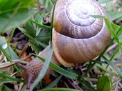 May 13  2012. 042.jpg