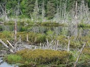 July 31 2011 511.jpg