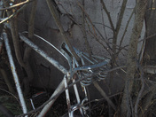 Still waiting for the rider to come back.