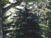 The price of groceries isn't the only thing going up.