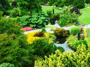 Queen Elizebeth Park.JPG