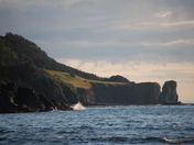 Gros Morne- Wallace Brook