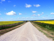 The mostly straight and narrow road.jpg