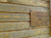 Spider looking for a place to stay!