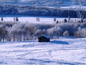 Foothills of Alberta