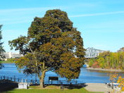 Downtown Ottawa, ON for you. 