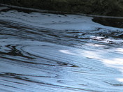 Rockwood Conservation Park, ON