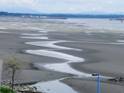 Low Tide.JPG