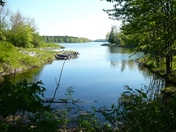 Trail May 19 2010 043.JPG