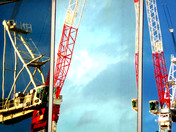 Reflection of cranes