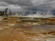 Yellowstone National Park