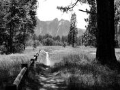 Yosemite National Park