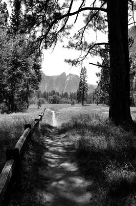 Yosemite National Park