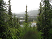 Denali National Park