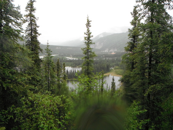 Denali National Park