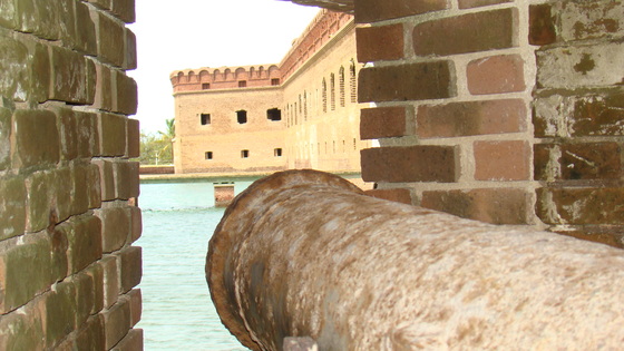 Dry Tortugas