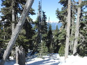 Olympic National Park