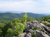 Shenandoah National Park