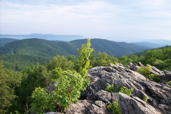 Shenandoah National Park
