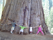 sequoia national park