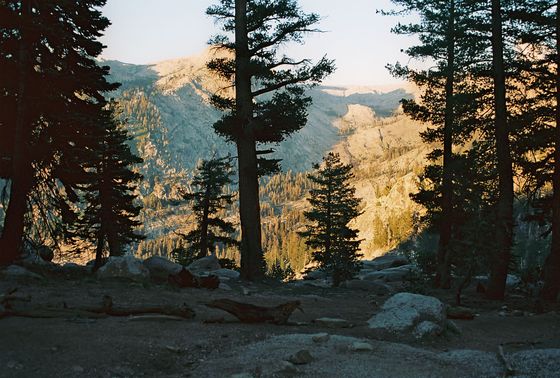 Sequoia National Park