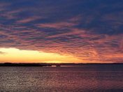 back bay national wildlife refuge