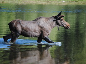 Grand Teton National Park