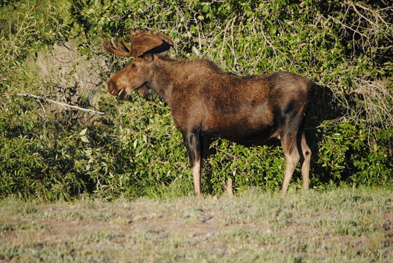 Grand Teton National Park