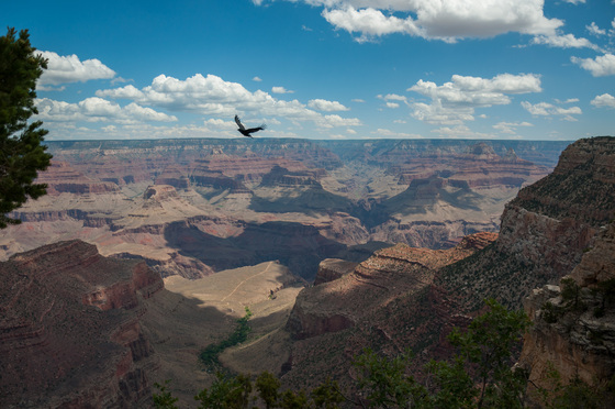 Grand Canyon 