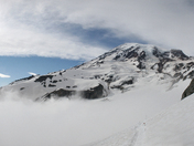 Mt. Rainier National Park
