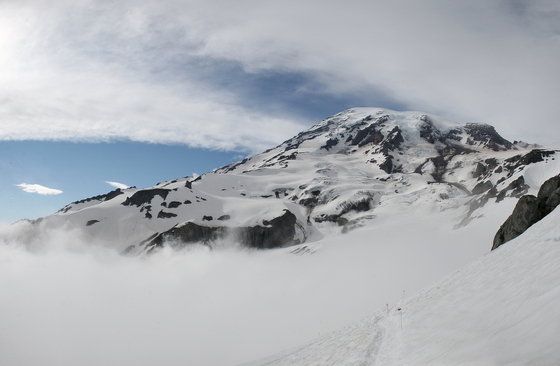 Mt. Rainier National Park