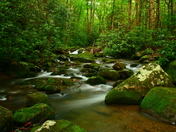 great smoky mountains national park