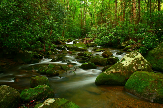 great smoky mountains national park