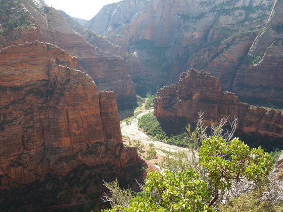 Zion National Park