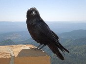 Bryce Canyon National Park