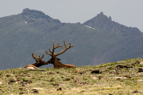 Rocky Mountain National Park