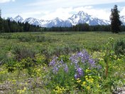 grand Teton NP