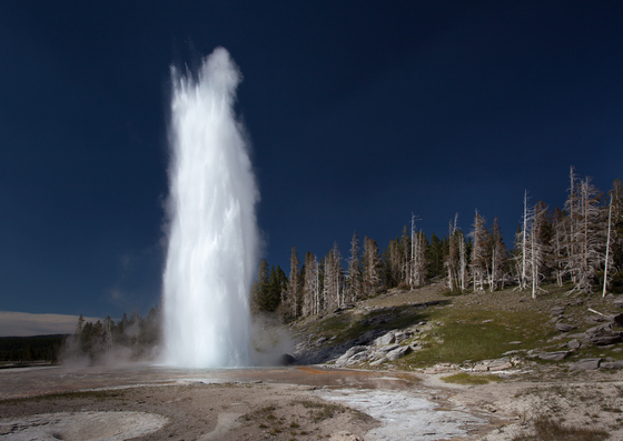 Yellowstone