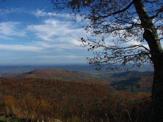 Shenandoah National Park