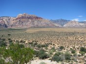 RED ROCK CANYON