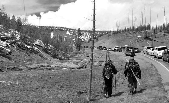 Yellowstone National Park 