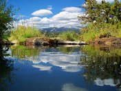 SIERRA NATIONAL FOREST/ MONO HOT SPRINGS