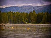 Sierra National Park/ Huntington Lake